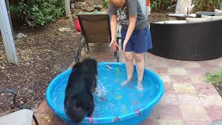 Charlie's new pool to help beat the 100+ heat