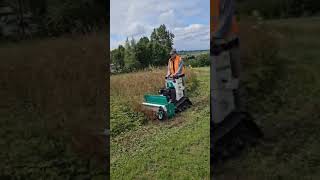 4-6 foot high weeds demolished: The Orec Stand-on Tracked Flail Mower in action.