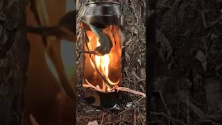 Building a lantern fire with a can #survivalskills #bushcrafter #bushcraft  #outdoorsurvival