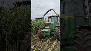 Claas Jaguar 960 Maissilage In Polen ! John Deere 6620 ! Corn Sillage In Poland !