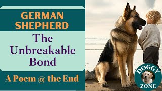 German Shepherd | Everything You Need to Know About This Beloved Dog Breed | Dog Lovers