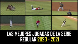 Las Mejores Jugadas Defensivas de la Serie Regular 2020 - 2021 │LIDOM│