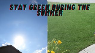 Summer watering tips/ watering lawn in summer heat