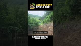 농장에 굴삭기 있으면 좋은 걸 누가 모를까! | 나무대장🌳 나무농사의 모든것