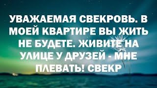 Уважаемая СВЕКРОВЬ. В моей квартире ВЫ жить не будете. Живите на улице у друзей - МНЕ ПЛЕВАТЬ! Све