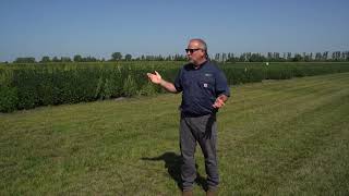 Selecting the Best Herbicide For My Soybeans