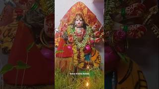 My Home #durgamata #durgamaa #durgapuja #navratri #visarjan #nimajjanam #viral #trending #shorts #yt