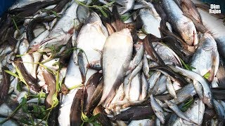 DESHI FISH COLLECTION MARKET IN DHAKA BANGLADESH | BANASHREE MARADIA HAAT