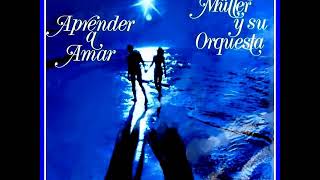 WERNER MULLER - APRENDER A AMAR [LP]