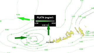 How to display the plankton features | Fish Mapping | SiriusXM Marine | Garmin