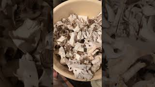 How To Process Hen Of The Woods Mushrooms #diy #food #life #eat #happy