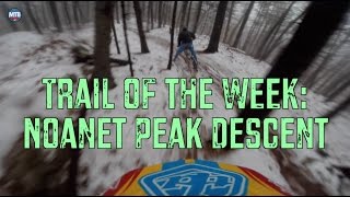 Trail of the Week: Noanet Peak Descent - Dover, MA