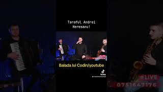 Andrei Heresanu si T.A.H Music Codin Live