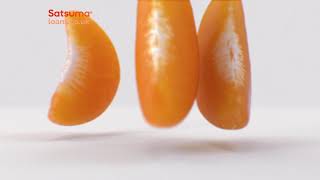 SATSUMA LOANS 'I think we're alone now' stop motion professional video