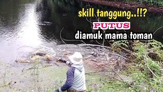 Strike IKAN TOMAN Sang Predator Air Hitam Tenaganya Luar Biasa ..!!?