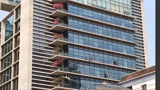 Office Window Cleaning 🧼| Street Plants 🌴 In Gulshan Ave.  অফিসের জানালা পরিষ্কার গুলশানের