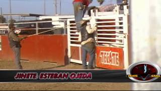 Cala De Toros En Rancho Cordoniso