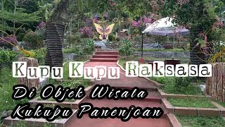 Objek Wisata Alam Kukupu Panenjoan