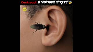 Cockroaches🪳 Can Stuck In Your Ear