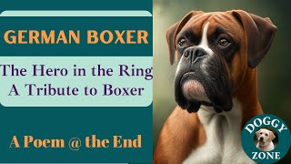 German Boxers | Everything You Need to Know About This Beloved Dog Breed | Dog Lovers