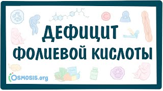 Фолиеводефицитная анемия (дефицит витамина B9) — причины, симптомы, патогенез, диагностика, лечение