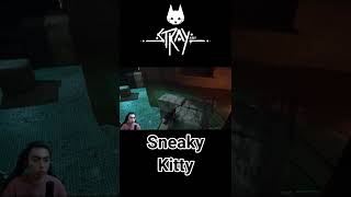 Trying to sneak playing Stray