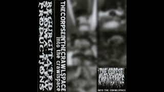 The Corpse in the Crawlspace- Into the Crawlspace (Russellville, AR | 2010)