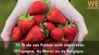 Fraises en container