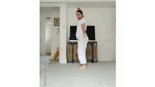 Bassai Dai (Parts) - Karate Kata Training Techniques - With Attention and Details