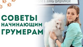 Советы начинающим грумерам