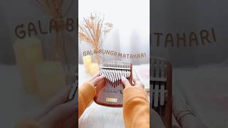 Gala Bunga Matahari versi kalimba #kalimbacover #kalimba #elskalimba #shorts #fyp #laguviral #mbira