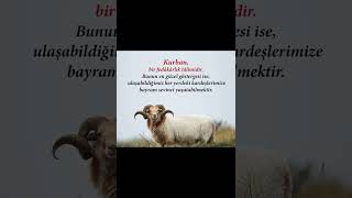 KURBAN BAYRAMINIZ MÜBAREK OLSUN İNŞALLAH MÜSLÜMAN KARDEŞLERİM 🤲🙏 #kurbanbayramı