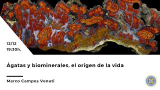 Webinar Biominerales: ágatas y el origen de la vida por Marco Campos Venuti