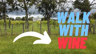 Martinborough NZ   | A walk in the Vineyards