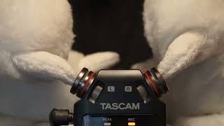 [Furry ASMR] Intense Close Up Mic & Fur Rubbing // Soft-Spoken