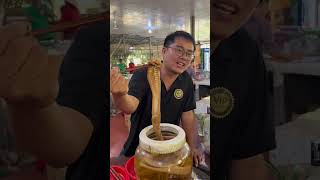 Snake Wine in Vietnam