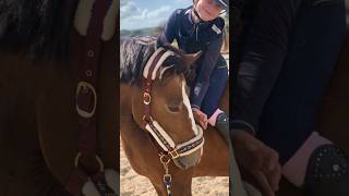 She was so cute on this photos❤️🥹#horse #pony #socute #cutepony #cutie #shortvideo #shorts #photos