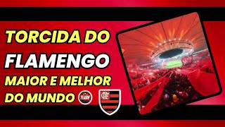 TORCIDA DO FLAMENGO! MAIOR E MELHOR DO MUNDO!