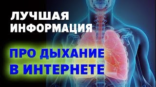 ЛУЧШАЯ ИНФОРМАЦИЯ ПРО ДЫХАНИЕ В ИНТЕРНЕТЕ