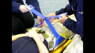 Prometheus Pelvic Splint