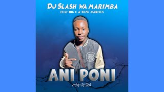 DJ Slash Wa Marimba -Ani Poni Ft Big C & Russ Nghenus 2024