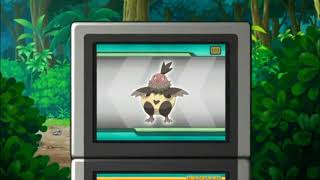 Vullaby Pokédex Entry..wmv