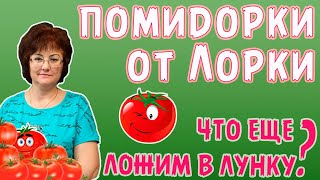 Помидорки от Лорки ,что еще можно положить в лунку?