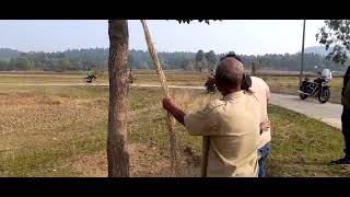 বাবুই দড়ি তৈরি making of Babui dori belpahari