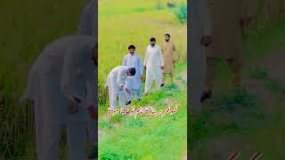 کھوکھر برینڈ کا نام تو سنا ہو گا #ptioffical #sindhisong #saraiki #ptiofficia #dancechoreography