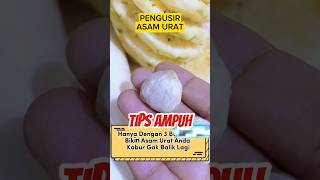 Asam Urat Kabur gak balik lagi dengan ini #health #edukasi #herbal #viral #shortvideo