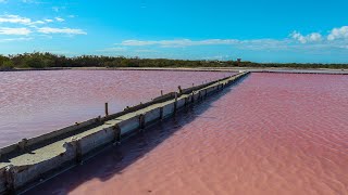 Puerto Rico Day 6 - Cabo Rojo, Crashboat Beach, Salt Flats & More