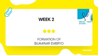 Week 2 | CHAPTER#3- FORMATION OF BILAMINAR EMBRYO