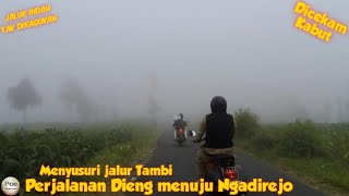 Menyusuri jalur Tambi || Perjalanan turun Dieng menuju Ngadirejo || dicekam Kabut.