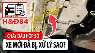 H&Đ84: Xe mới đã bị chảy nhớt đầu hộp số, không phải ai cũng phát hiện ra | TIPCAR TV